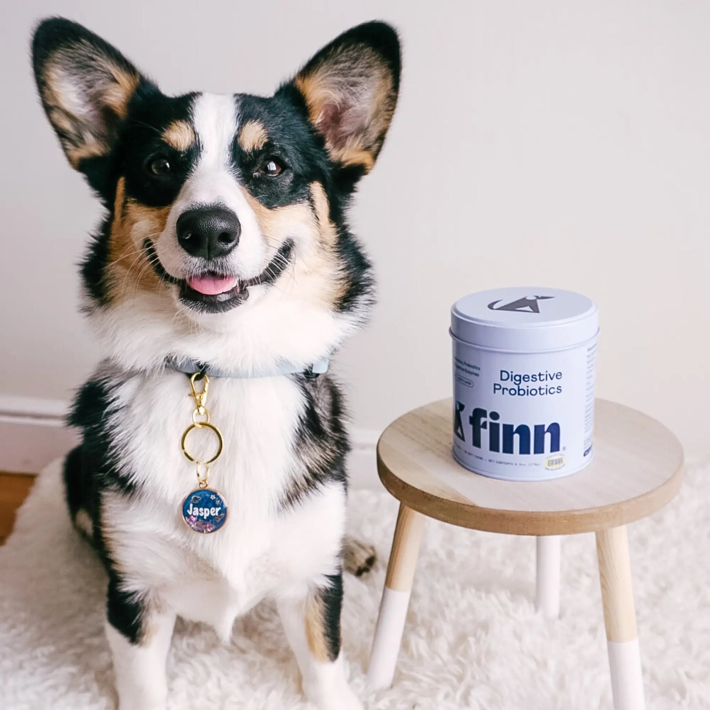 FINN Digestive Probiotics for Dogs - Complete Digestive System Support with 6 Stains Live Probiotics, Pumpkin & Prebiotics - Vet Recommended - 90 Soft Chews – Canine Nutritional Supplement