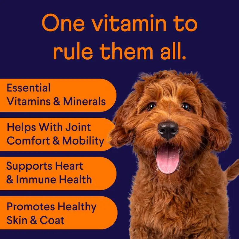 FINN Chill Pup Bundle - Calming, Stress Relief & Daily Wellness for Dogs - Calming Aid + Multivitamin Chews - 180 Soft Chews
