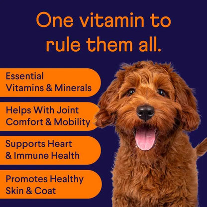 FINN Chill Pup Bundle - Calming, Stress Relief & Daily Wellness for Dogs - Calming Aid + Multivitamin Chews - 180 Soft Chews