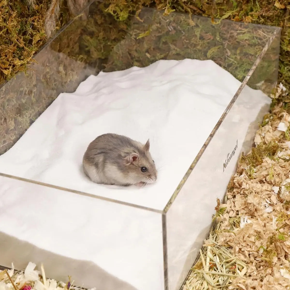 High-Quality Dust-Free Bath Sand, Small Pet Sand for Hamsters, Hedgehogs, Guinea Pigs, Super Fine Quartz Sand, Toy Enrichment & Gentle Cleaning