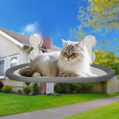 Wall Mounted Cat Hammock