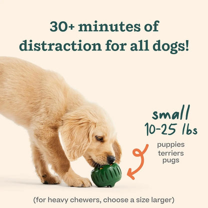 Pupsicle - Long-Lasting Interactive Dog Toy to Keep Your Pup Distracted - Safe for Dogs - Low-Mess Design - Dog Toys for Small Dogs 10-25 Lbs