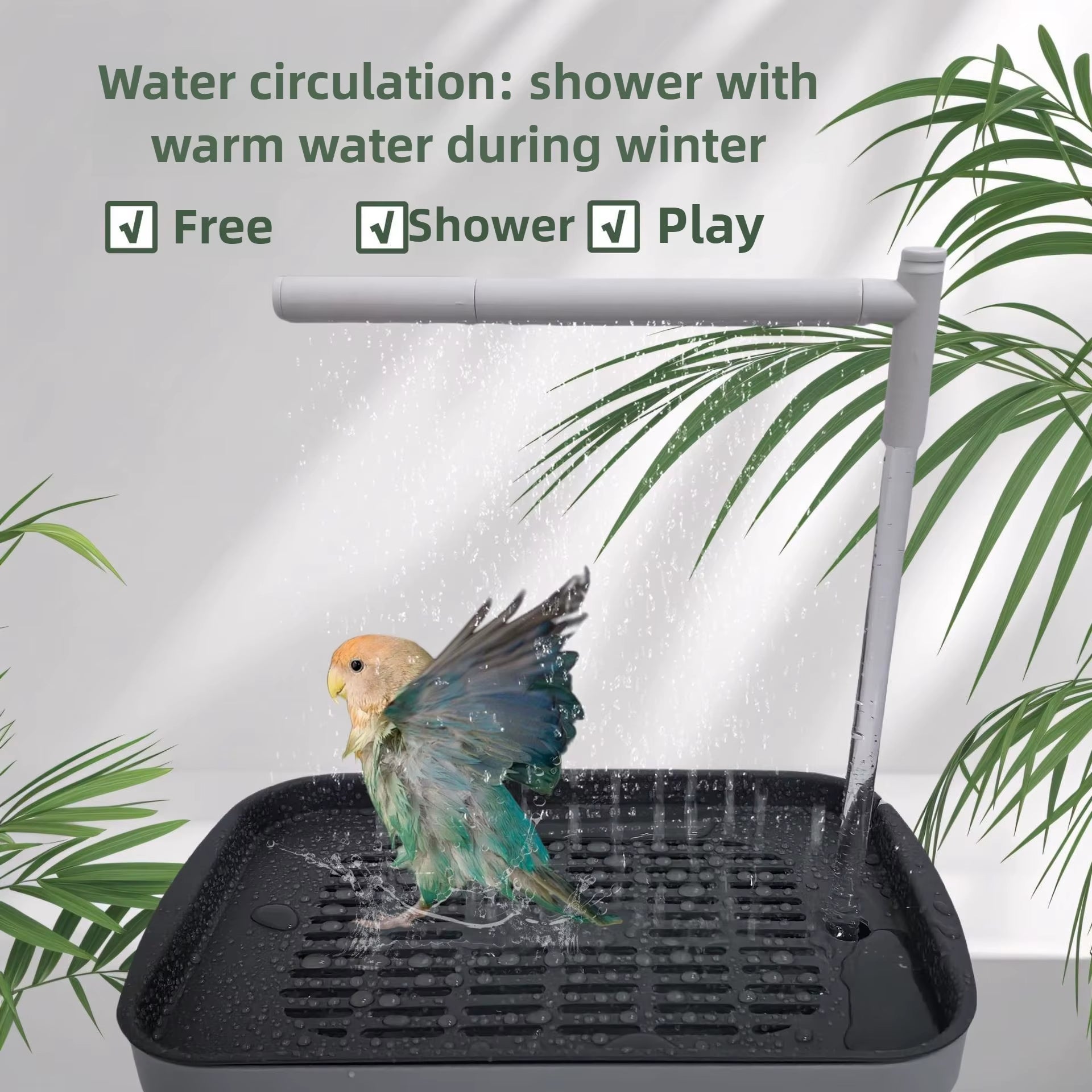 Bird Bath Tub