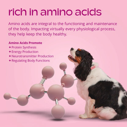 Dog Skin Health Supplement