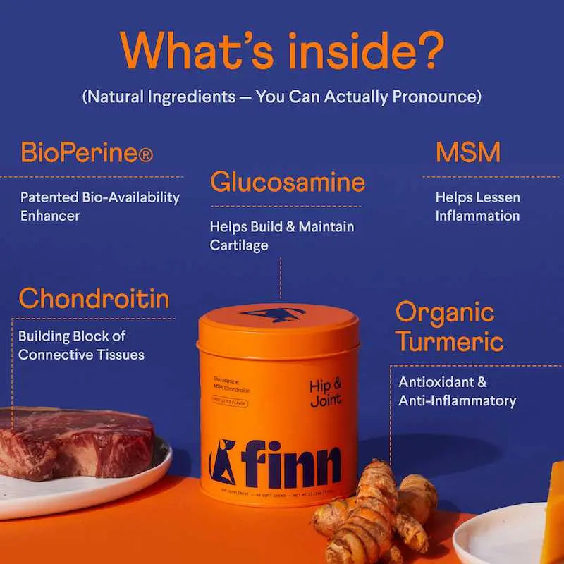 Hip & Joint - with Glucosamine, Chondroitin, MSM, Turmeric & Green-Lipped Mussel to Support Healthy Hips, Joints & Mobility