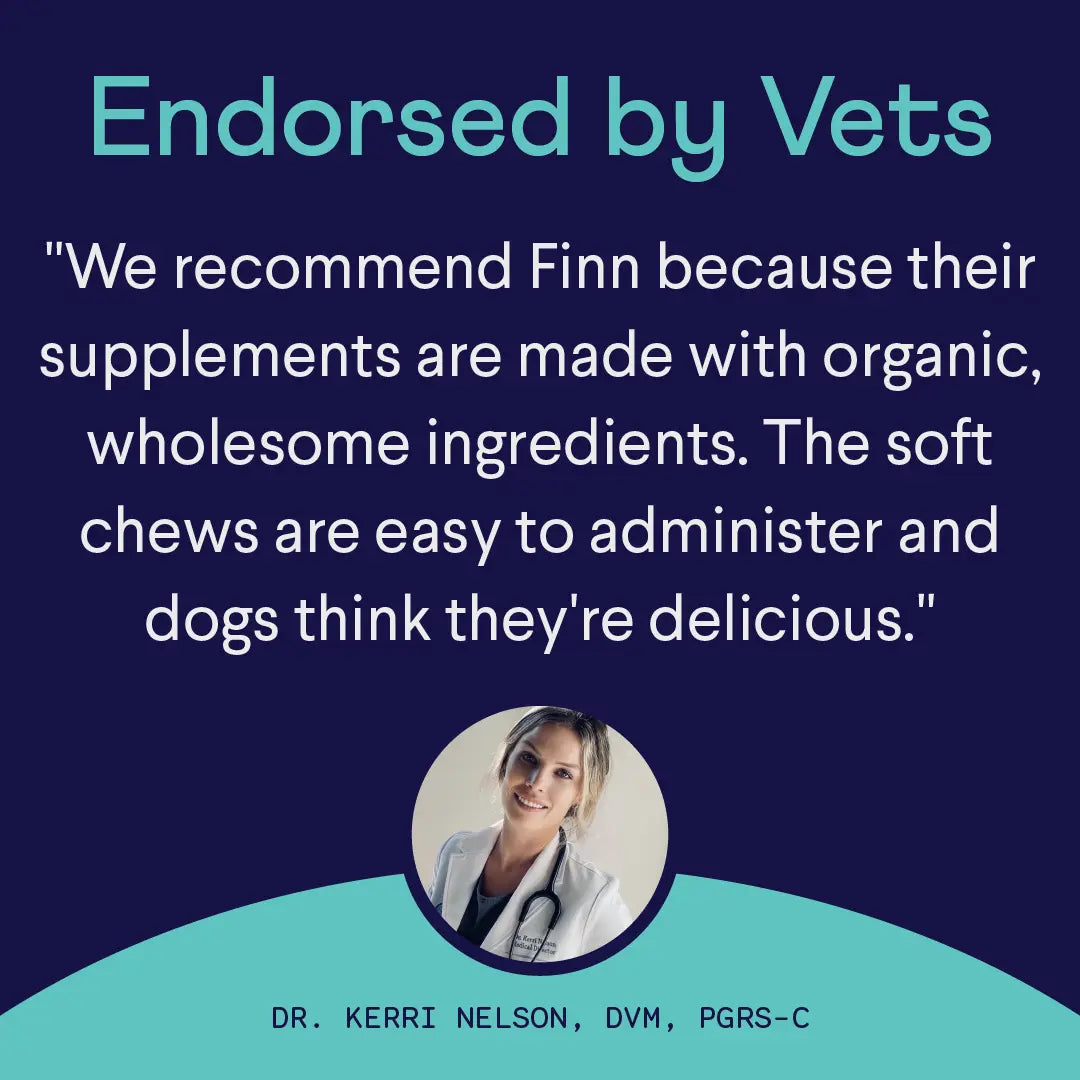 Finn Calming Aid 2-Pack – All-Natural Soft Chew Supplements for Dogs to Promote Relaxation and Calmness