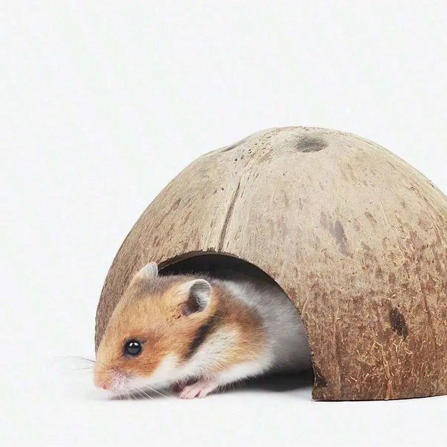 Coconut Shell Hideout Cave for Dwarf Hamsters & Small Pets, 3.9-5.1 Inch Size, Natural Material, Ideal Pet Accessory, Hamster Cage Habitat