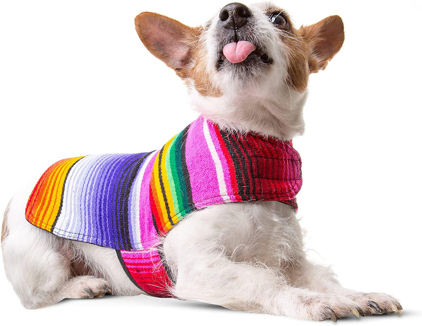 Mexican Serape Dog Poncho