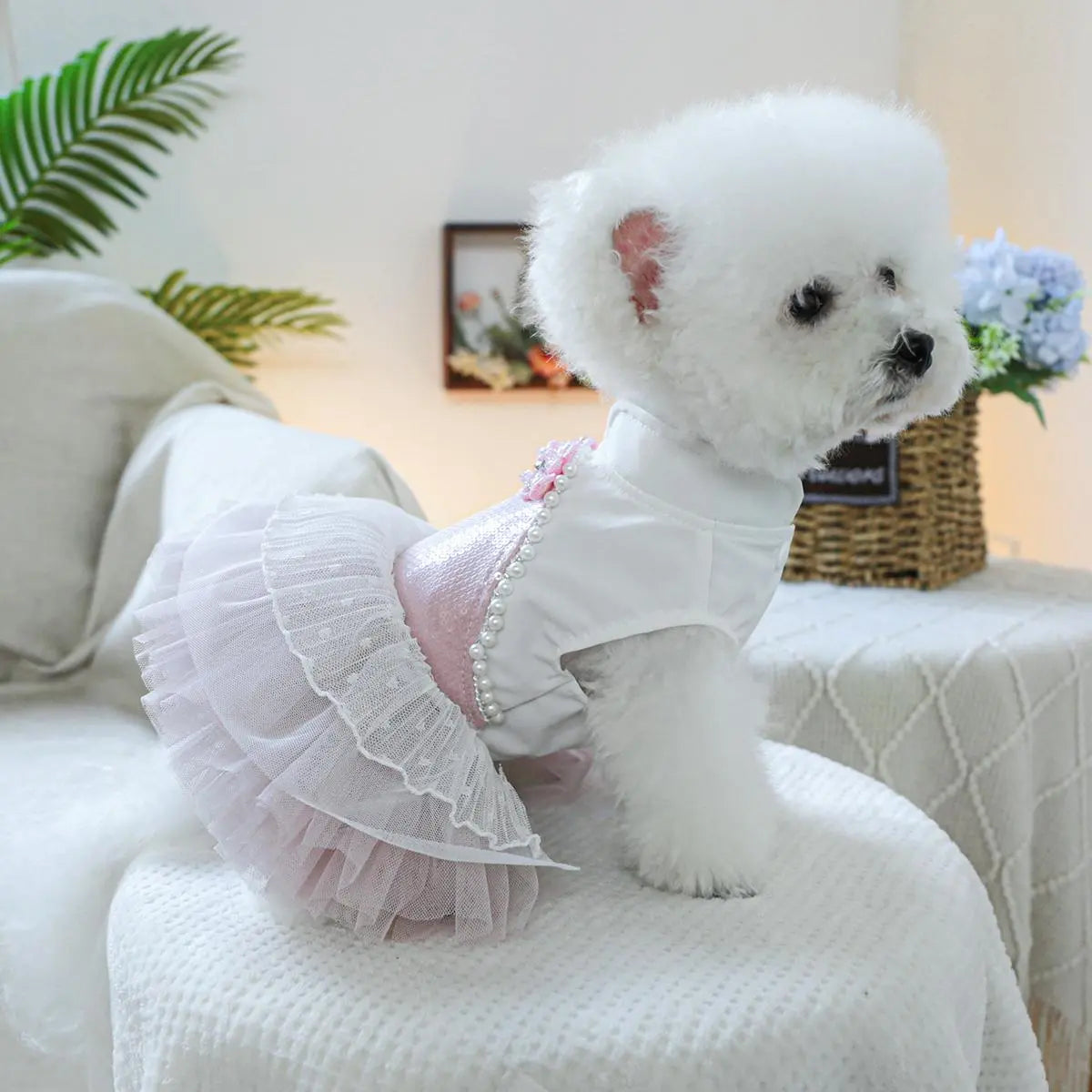 Pet Dress, Cute Flower Decor Pet Dress, Pet Clothes for Small Dogs, Fashionable Pet Clothing for Dogs, Dog & Cat Clothing Supplies