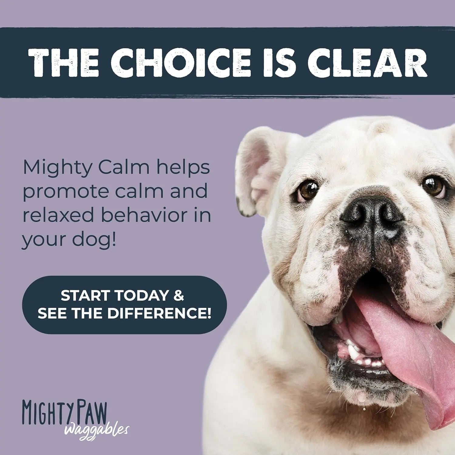 Mighty Calm Chews for Dogs: Soothing Stress and Calming Support in Every Bite / Supplements