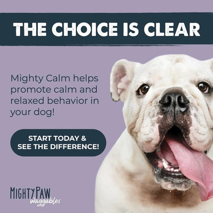 Mighty Calm Chews for Dogs: Soothing Stress and Calming Support in Every Bite / Supplements
