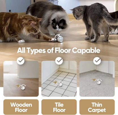 Fishbone Rolling Ball Pet Toy Cat Toy Interactive Indoor Pet Toy Kicker with Catnip Kitten Electric Cat Toy Ball 2 Accessories USB Rechargeable