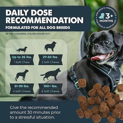 Mighty Calm Chews for Dogs: Soothing Stress and Calming Support in Every Bite / Supplements