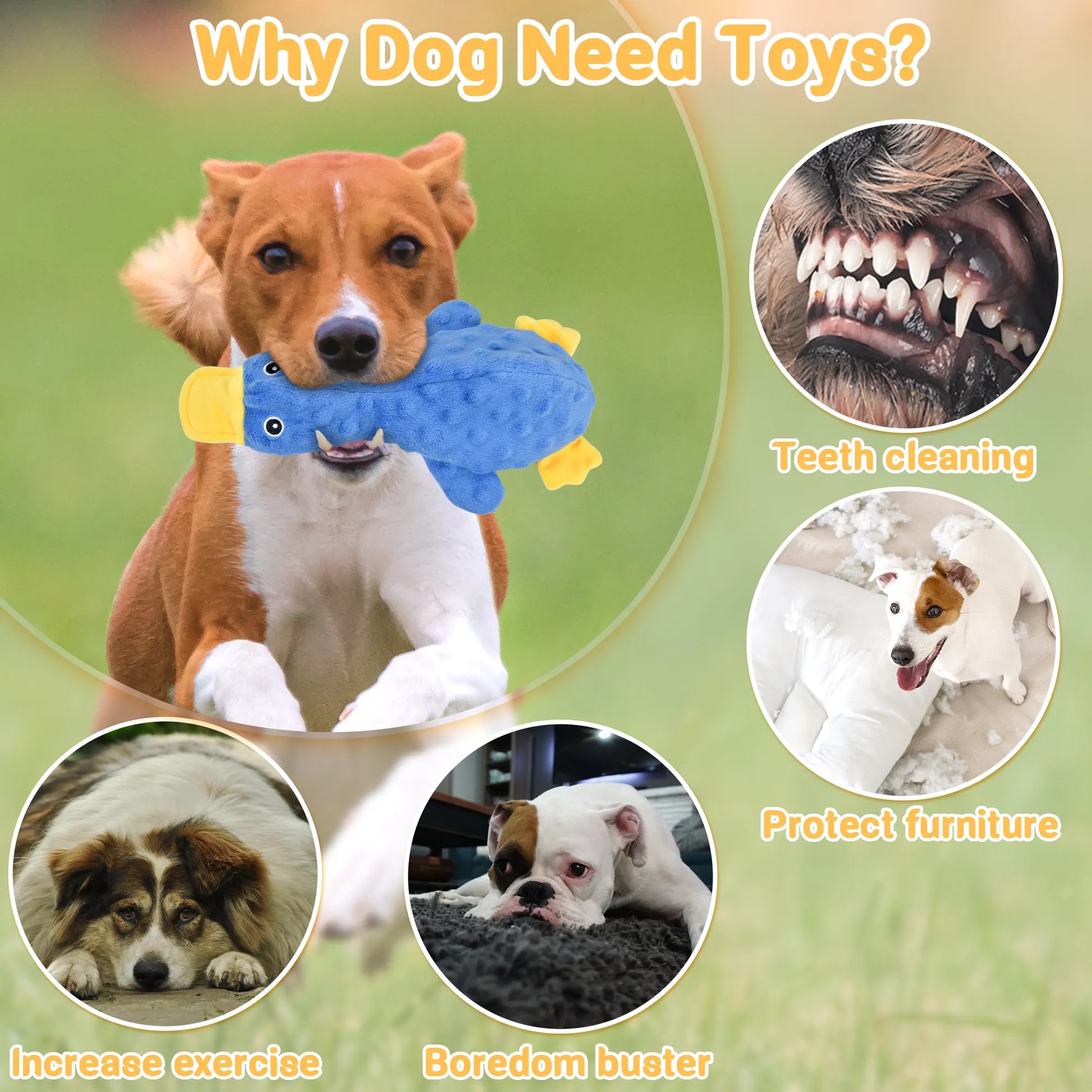 No Stuffing Squeaky Dog Toys promote mess-free playtime with adorable plush designs and built-in squeakers.