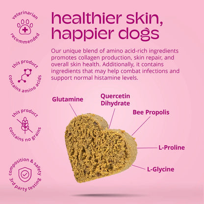 Dog Skin Health Supplement