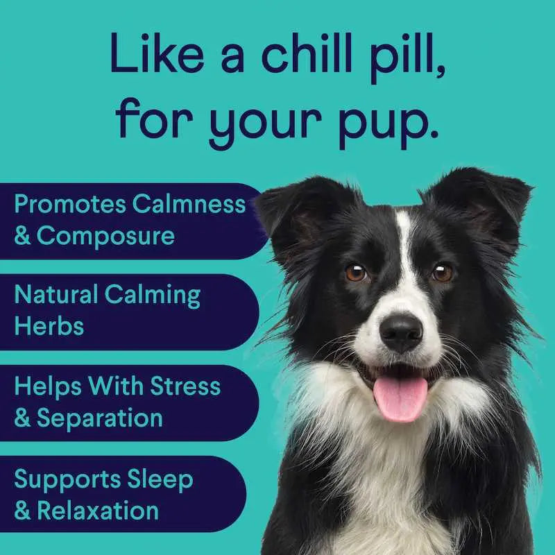 FINN Chill Pup Bundle - Calming, Stress Relief & Daily Wellness for Dogs - Calming Aid + Multivitamin Chews - 180 Soft Chews