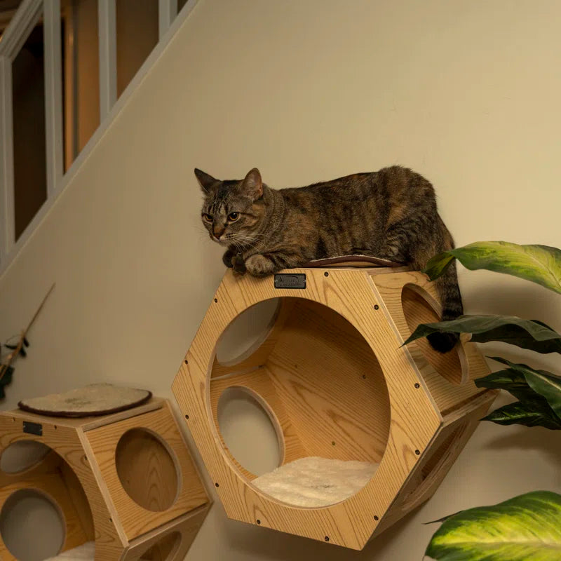 Wood Wall Cat Tree