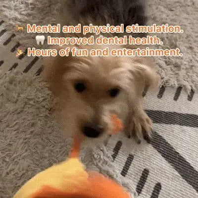 Animal Gang™: Teeth-Cleaning Chew Toys