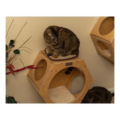 Wood Wall Cat Tree