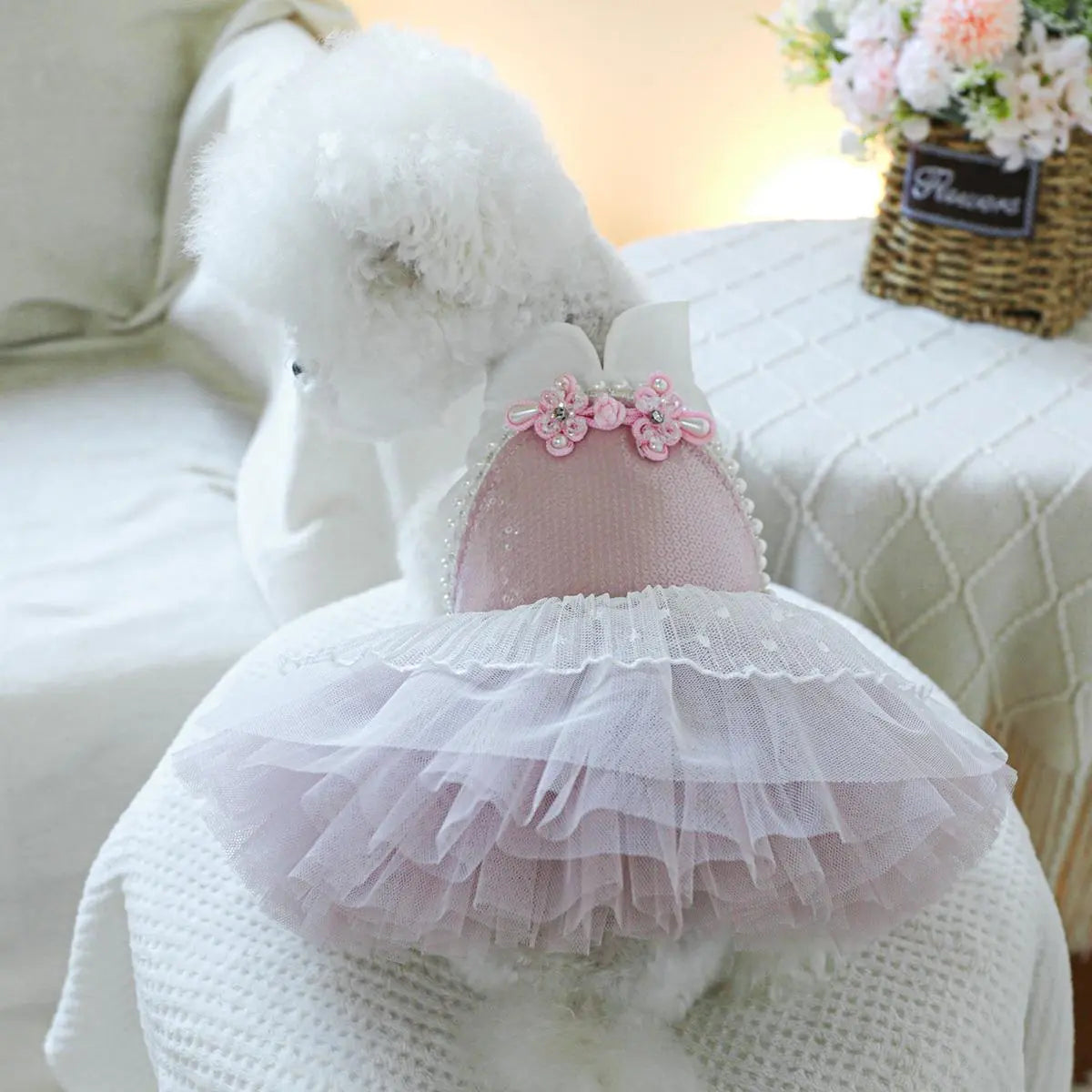Pet Dress, Cute Flower Decor Pet Dress, Pet Clothes for Small Dogs, Fashionable Pet Clothing for Dogs, Dog & Cat Clothing Supplies
