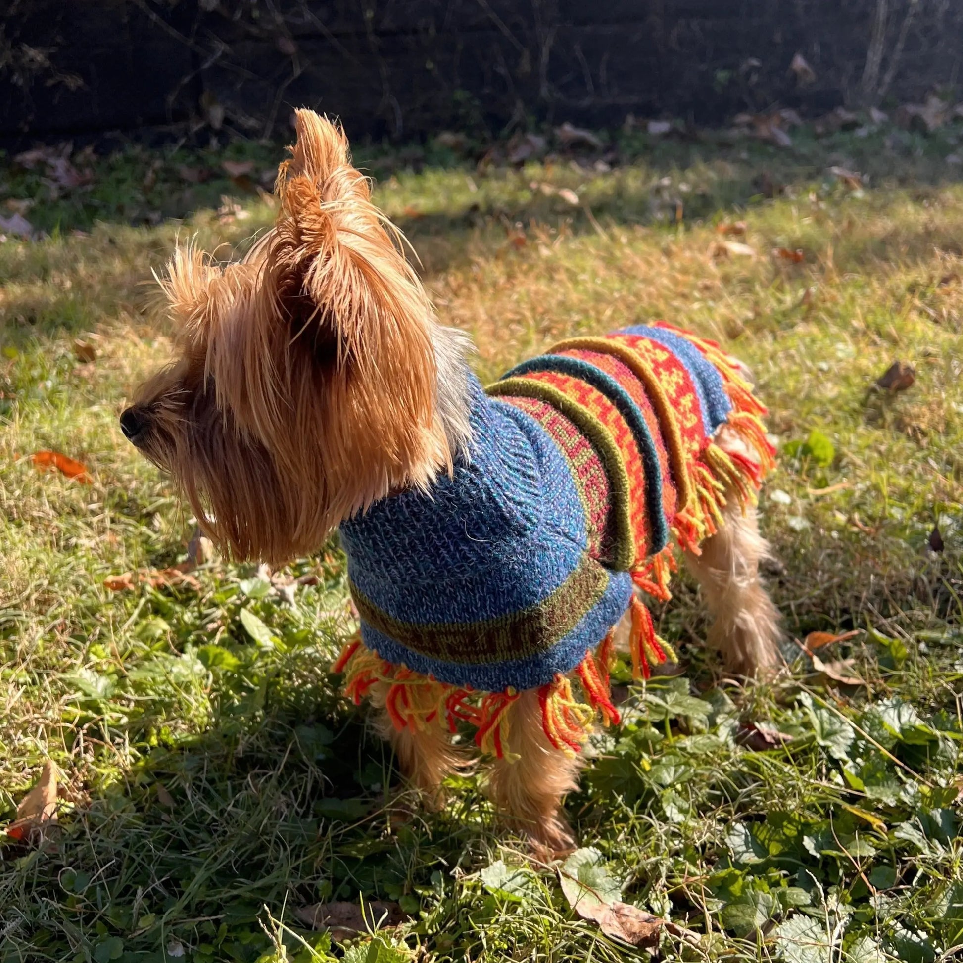 Handmade BLUE PURPLE TWEED Alpaca Dog Poncho SIZE XX0-20