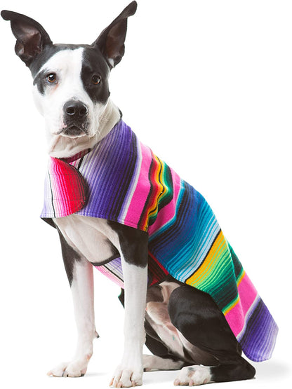Mexican Serape Dog Poncho