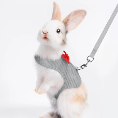 Rabbit Leash and Harness with Bow Decor, Small Pet Chest Vest and Leash, Animal Supplies for Rabbits