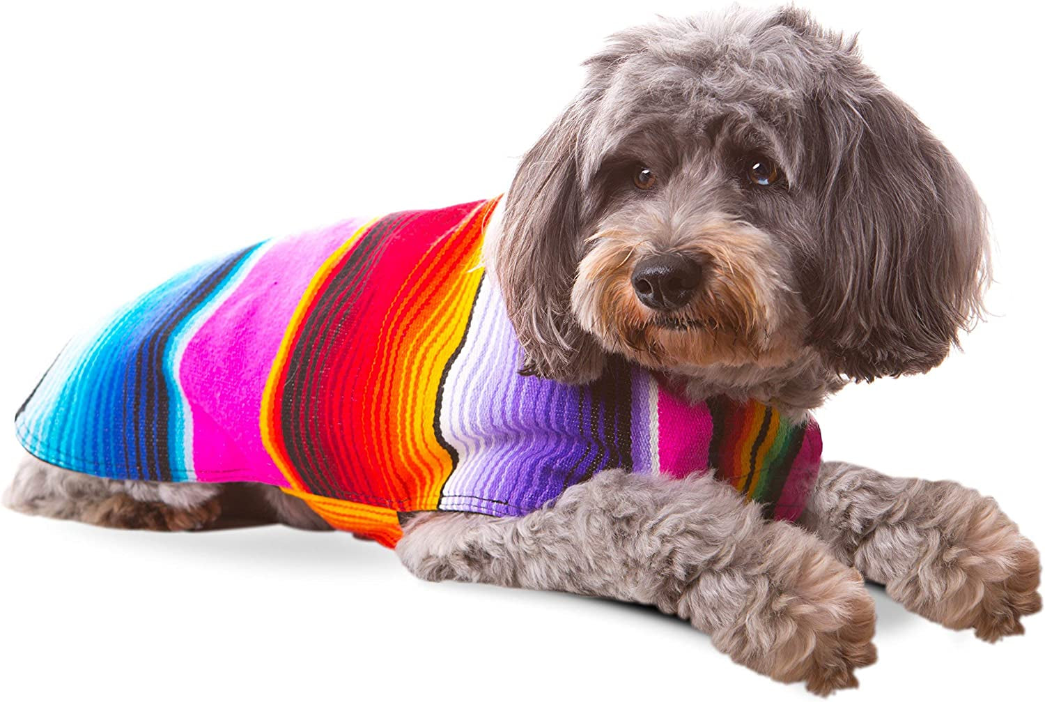Mexican Serape Dog Poncho