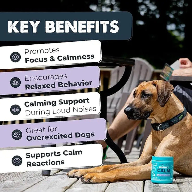 Mighty Calm Chews for Dogs: Soothing Stress and Calming Support in Every Bite / Supplements