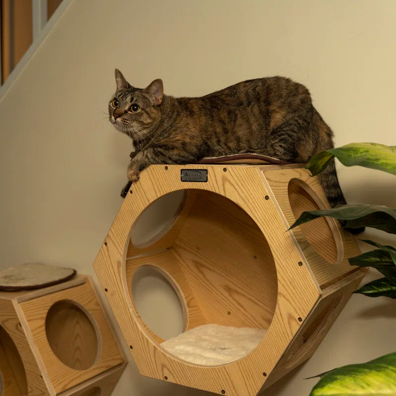 Wood Wall Cat Tree