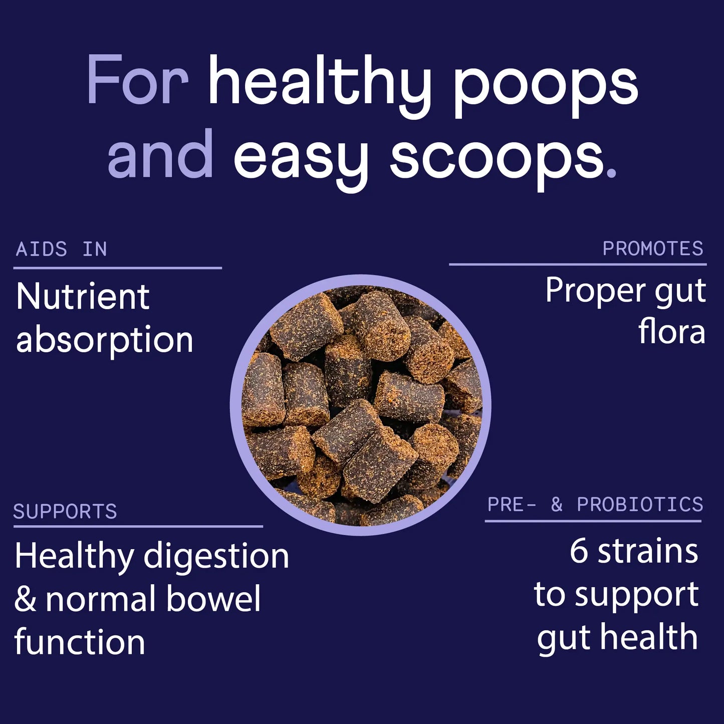 FINN Digestive Probiotics for Dogs - Complete Digestive System Support with 6 Stains Live Probiotics, Pumpkin & Prebiotics - Vet Recommended - 90 Soft Chews – Canine Nutritional Supplement