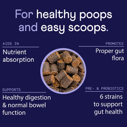 FINN Digestive Probiotics for Dogs - Complete Digestive System Support with 6 Stains Live Probiotics, Pumpkin & Prebiotics - Vet Recommended - 90 Soft Chews – Canine Nutritional Supplement