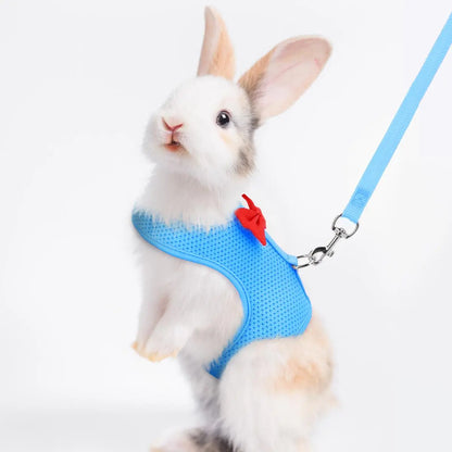 Rabbit Leash and Harness with Bow Decor, Small Pet Chest Vest and Leash, Animal Supplies for Rabbits