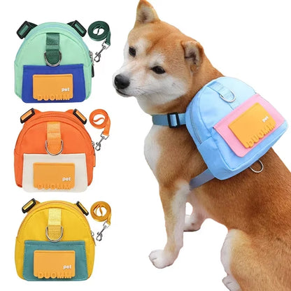 Pet Training Treat Bag