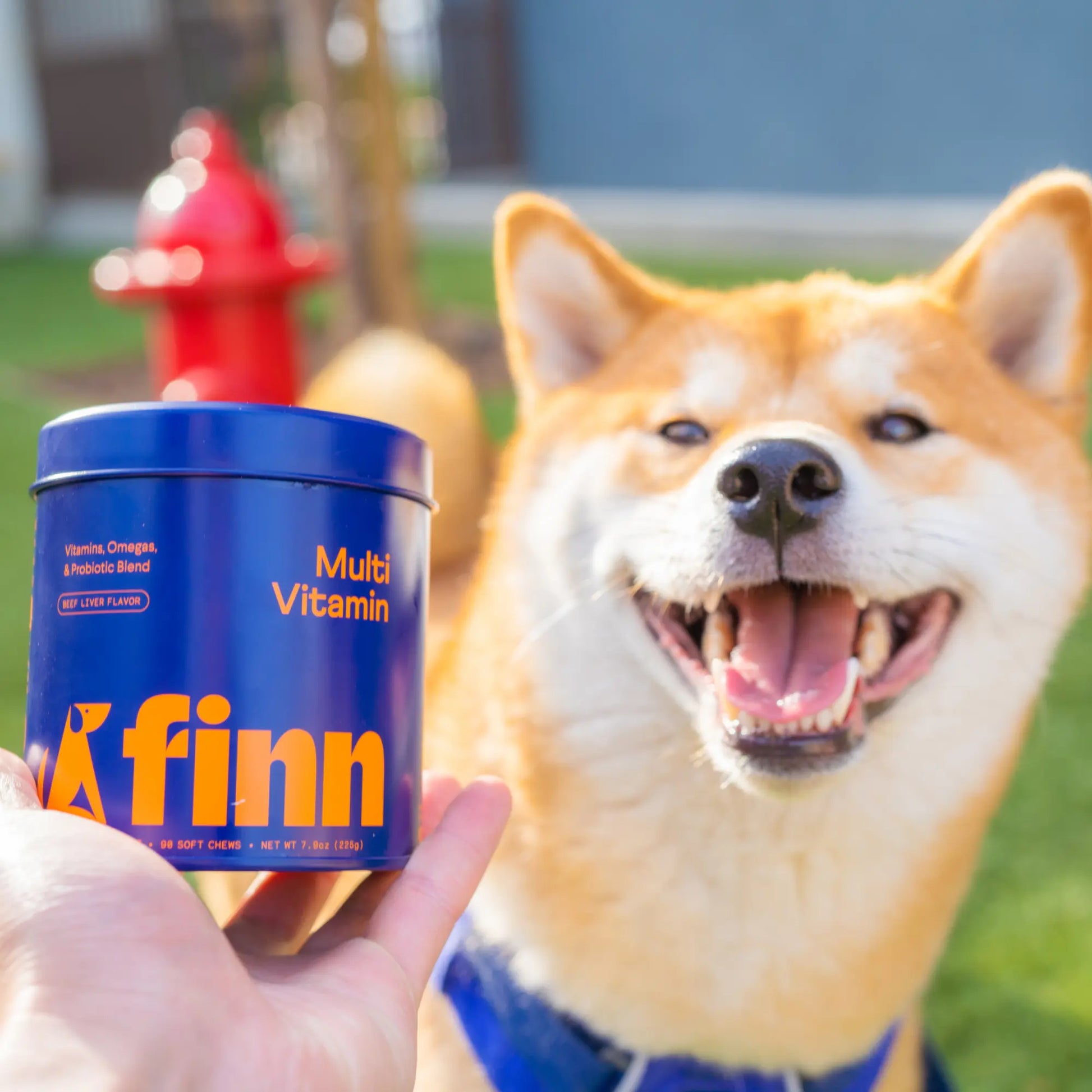 FINN All-In-1 Dog Multivitamin - Probiotics, Omega-3S, Glucosamine, Gut & Immune Health, Joint Support, Heart Health - Canine Nutritional Supplement – NASC Approved & Certified – Beef Liver Flavor – 90 Soft Chews