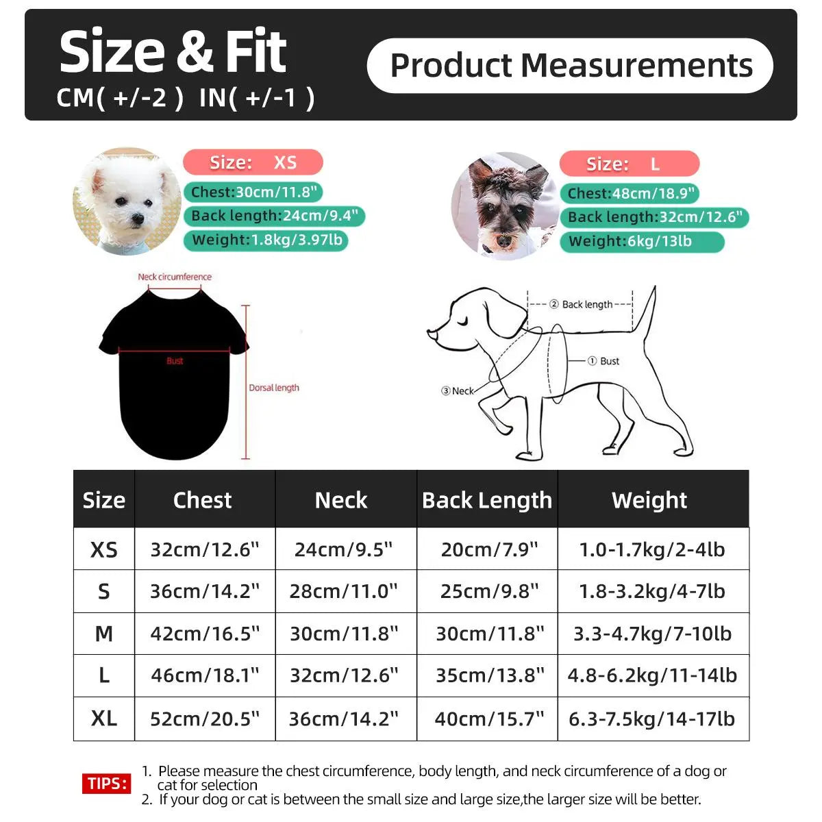 Pet Dress, Cute Flower Decor Pet Dress, Pet Clothes for Small Dogs, Fashionable Pet Clothing for Dogs, Dog & Cat Clothing Supplies