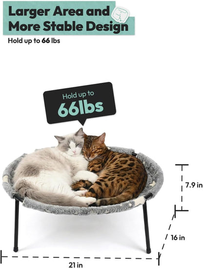 Elevated Glow in the Dark Cat Bed