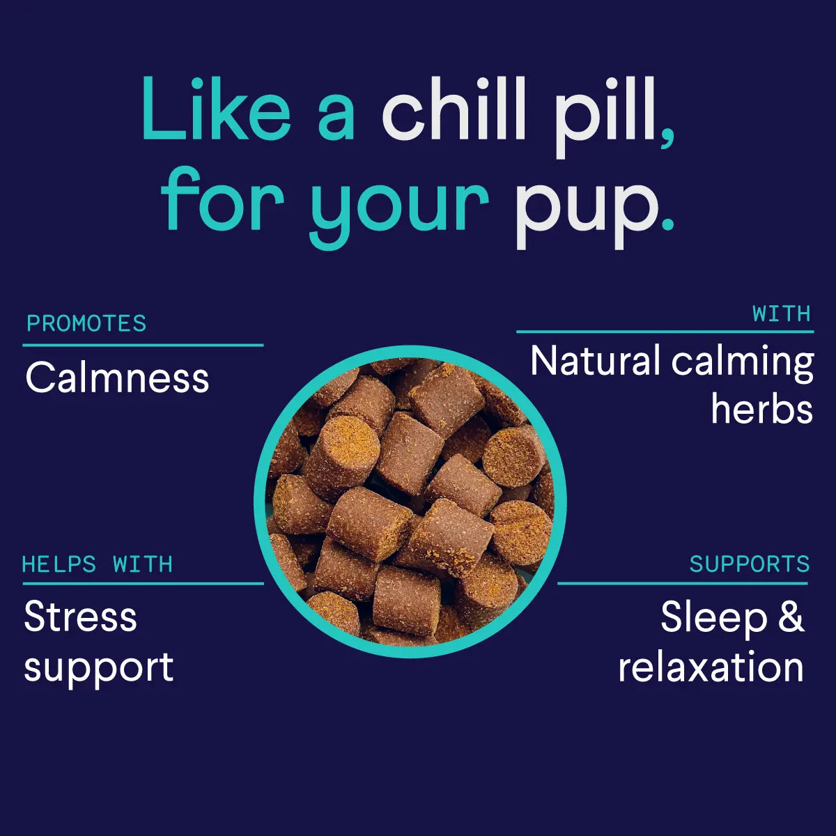 Finn Calming Aid 2-Pack – All-Natural Soft Chew Supplements for Dogs to Promote Relaxation and Calmness