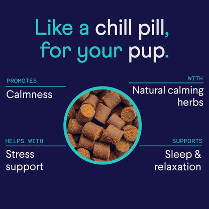 Finn Calming Aid 2-Pack – All-Natural Soft Chew Supplements for Dogs to Promote Relaxation and Calmness