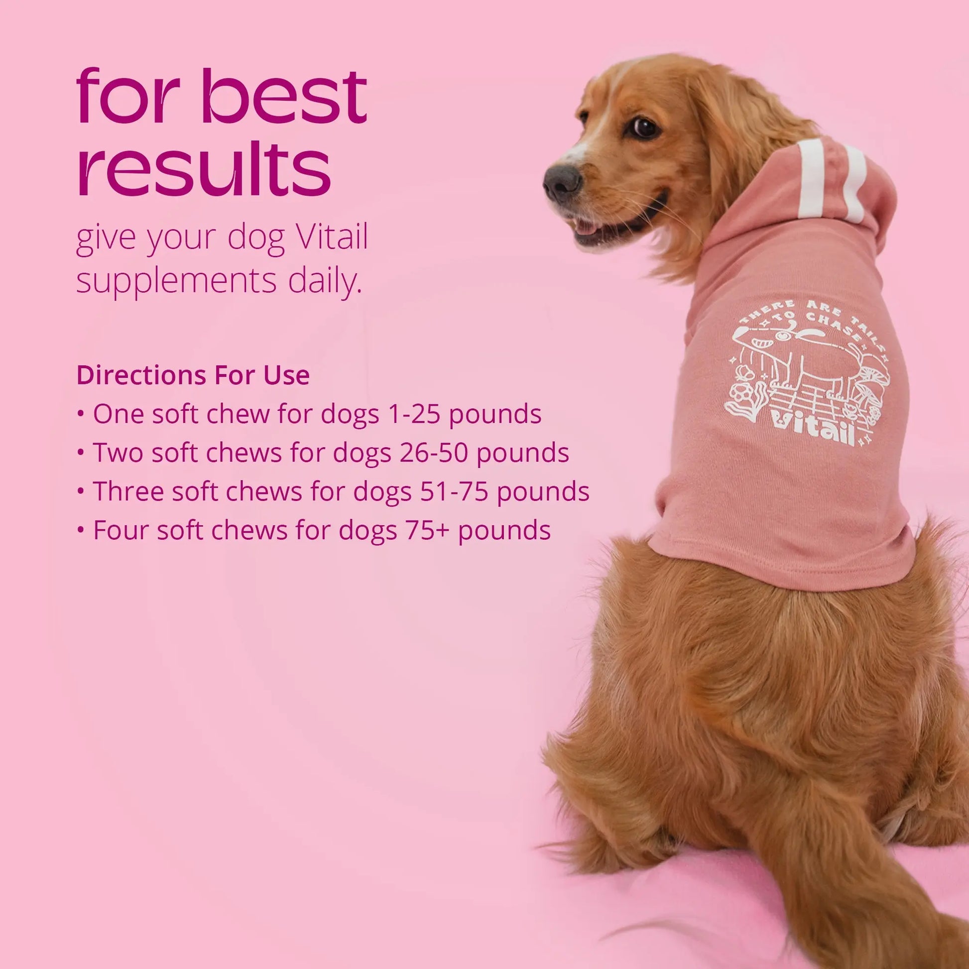 Dog Skin Health Supplement