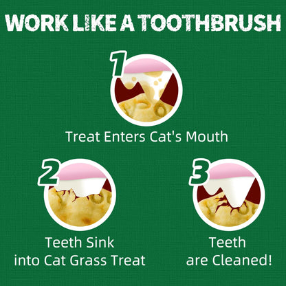 Salmon Oil Cat Treats