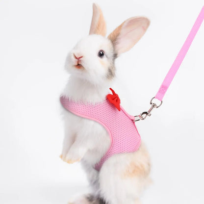Rabbit Leash and Harness with Bow Decor, Small Pet Chest Vest and Leash, Animal Supplies for Rabbits