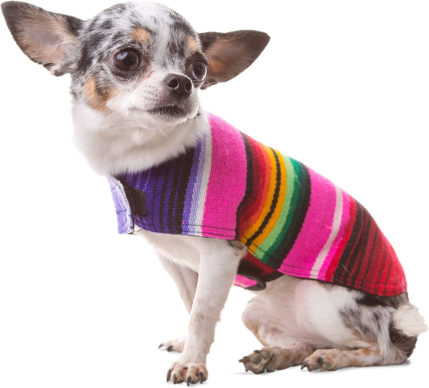 Mexican Serape Dog Poncho