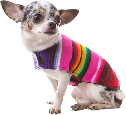 Mexican Serape Dog Poncho