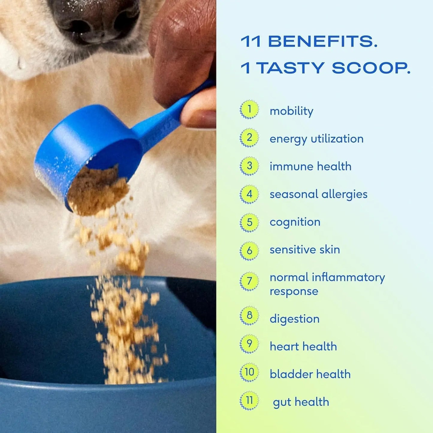 Native Pet Dog Vitamins & Supplements - 11-In-1 Multivitamin Powder for Dogs Food Topper - Collagen, Glucosamine, Probiotics, Omega & More- Supports Healthy Gut, Mobility & Overall Health -30 Scoops