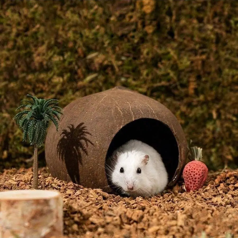 Coconut Shell Hideout Cave for Dwarf Hamsters & Small Pets, 3.9-5.1 Inch Size, Natural Material, Ideal Pet Accessory, Hamster Cage Habitat