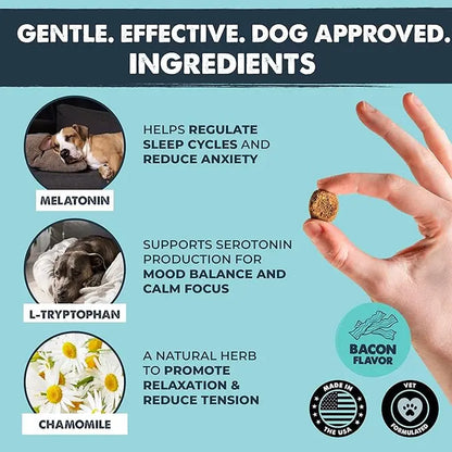 Mighty Calm Chews for Dogs: Soothing Stress and Calming Support in Every Bite / Supplements