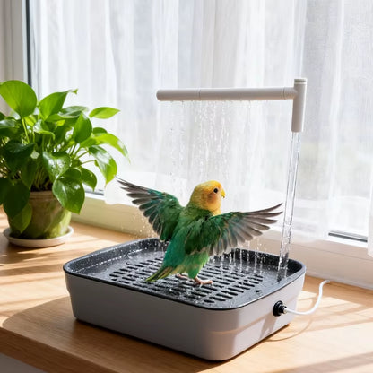 Bird Bath Tub