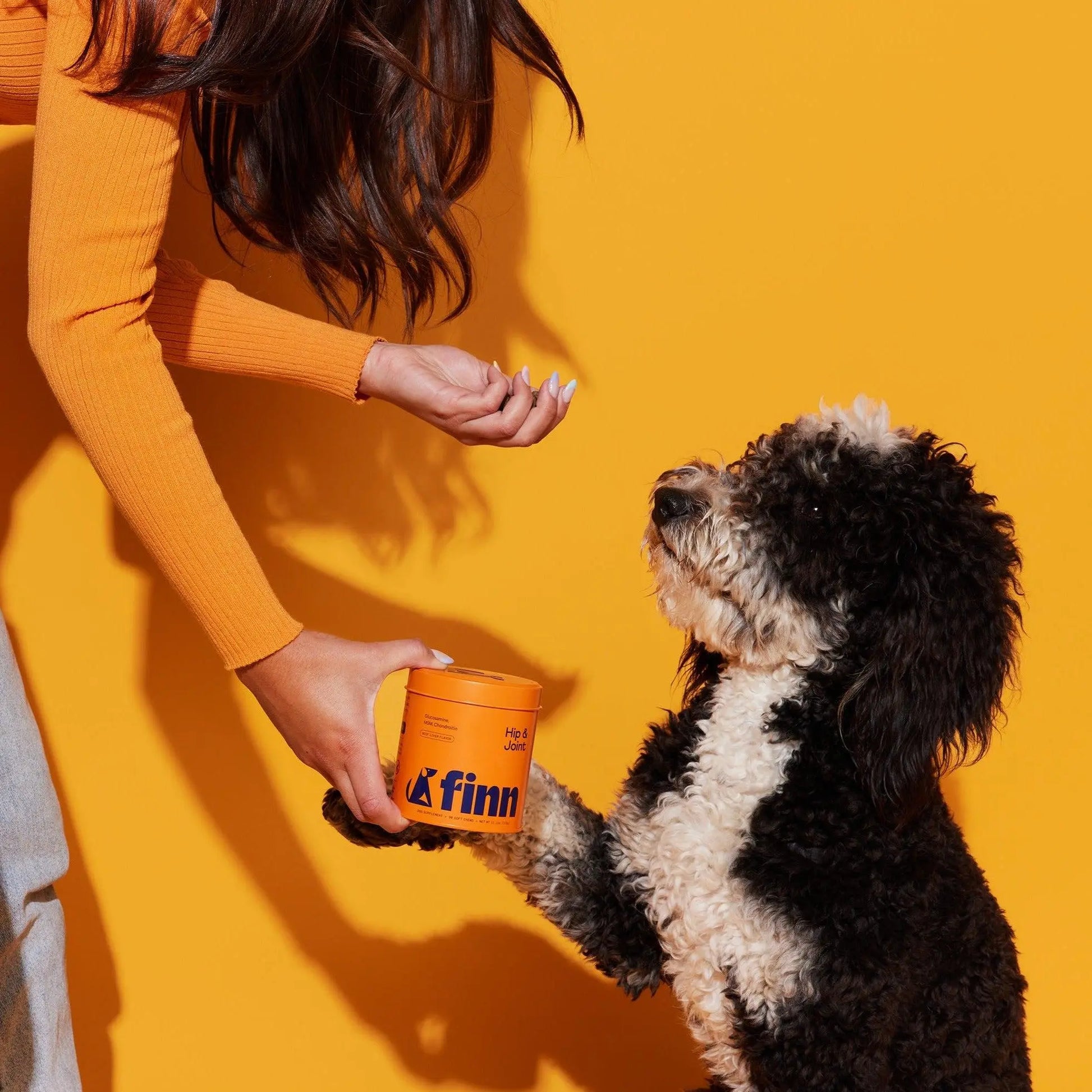 Hip & Joint - with Glucosamine, Chondroitin, MSM, Turmeric & Green-Lipped Mussel to Support Healthy Hips, Joints & Mobility