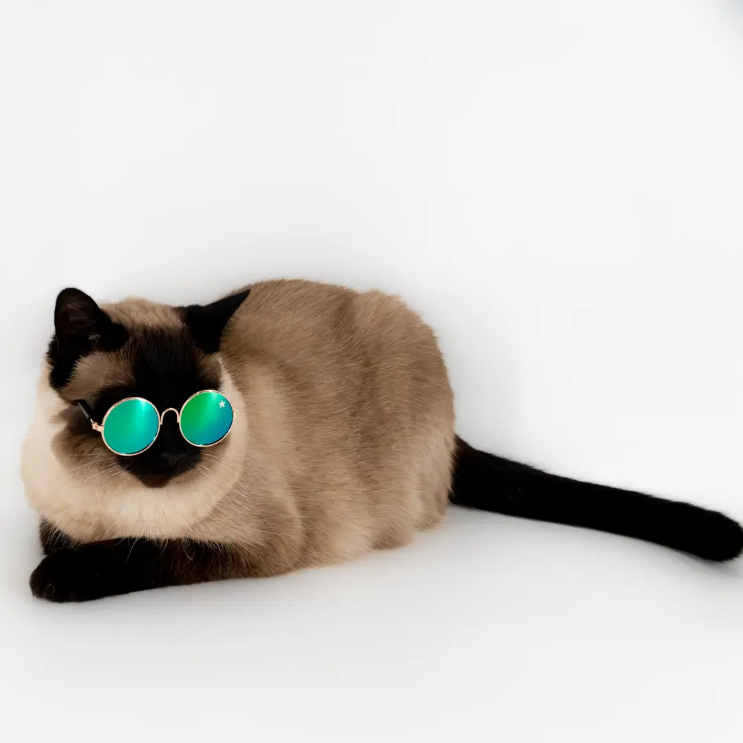 Pet Specs - Pet Sunglasses